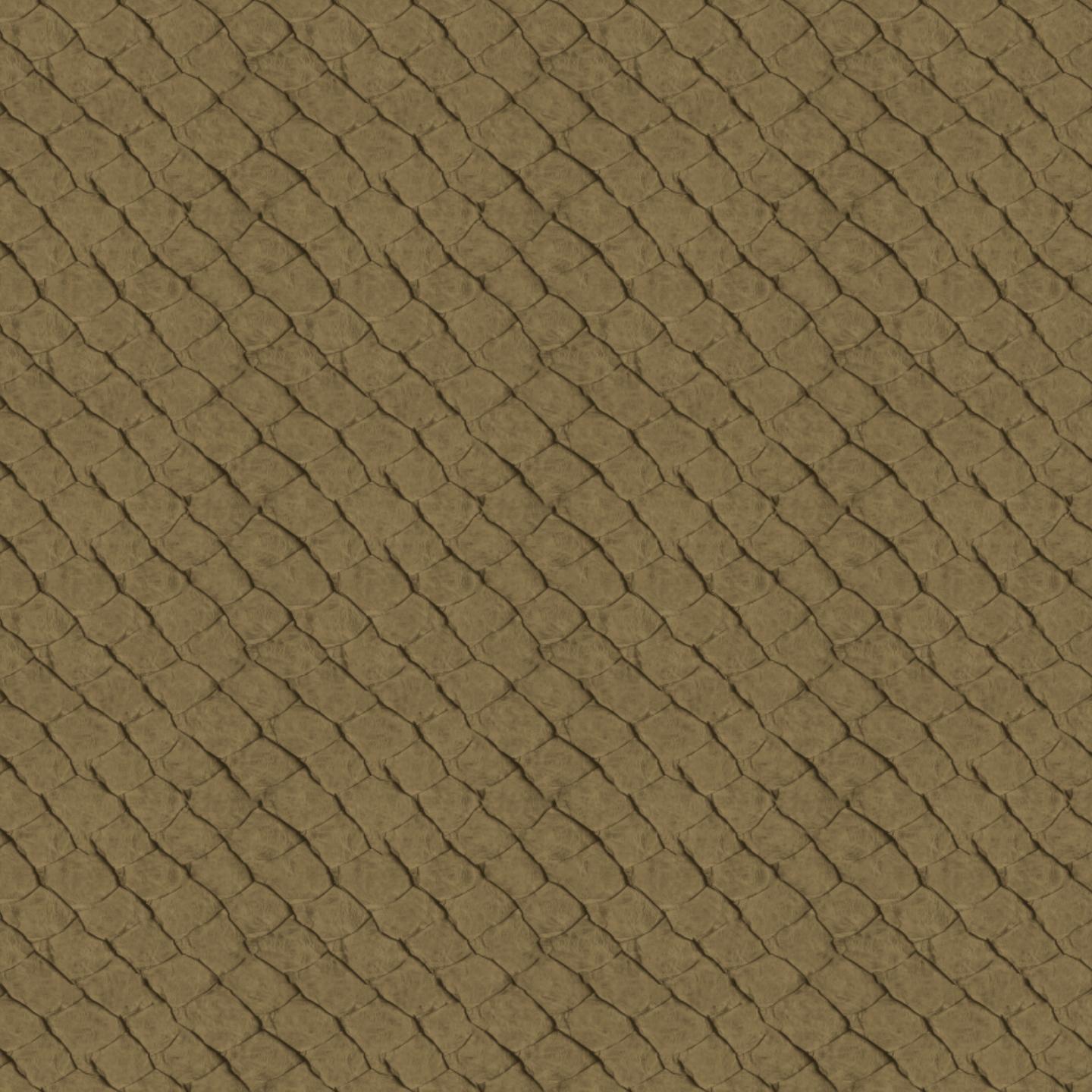 Africa Fish T44