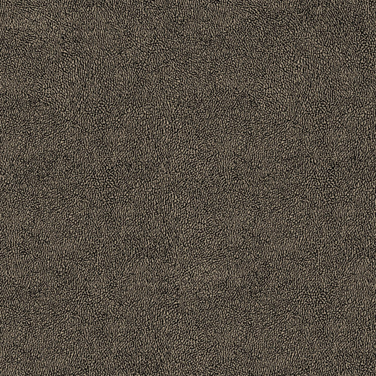 Africa Skin T44