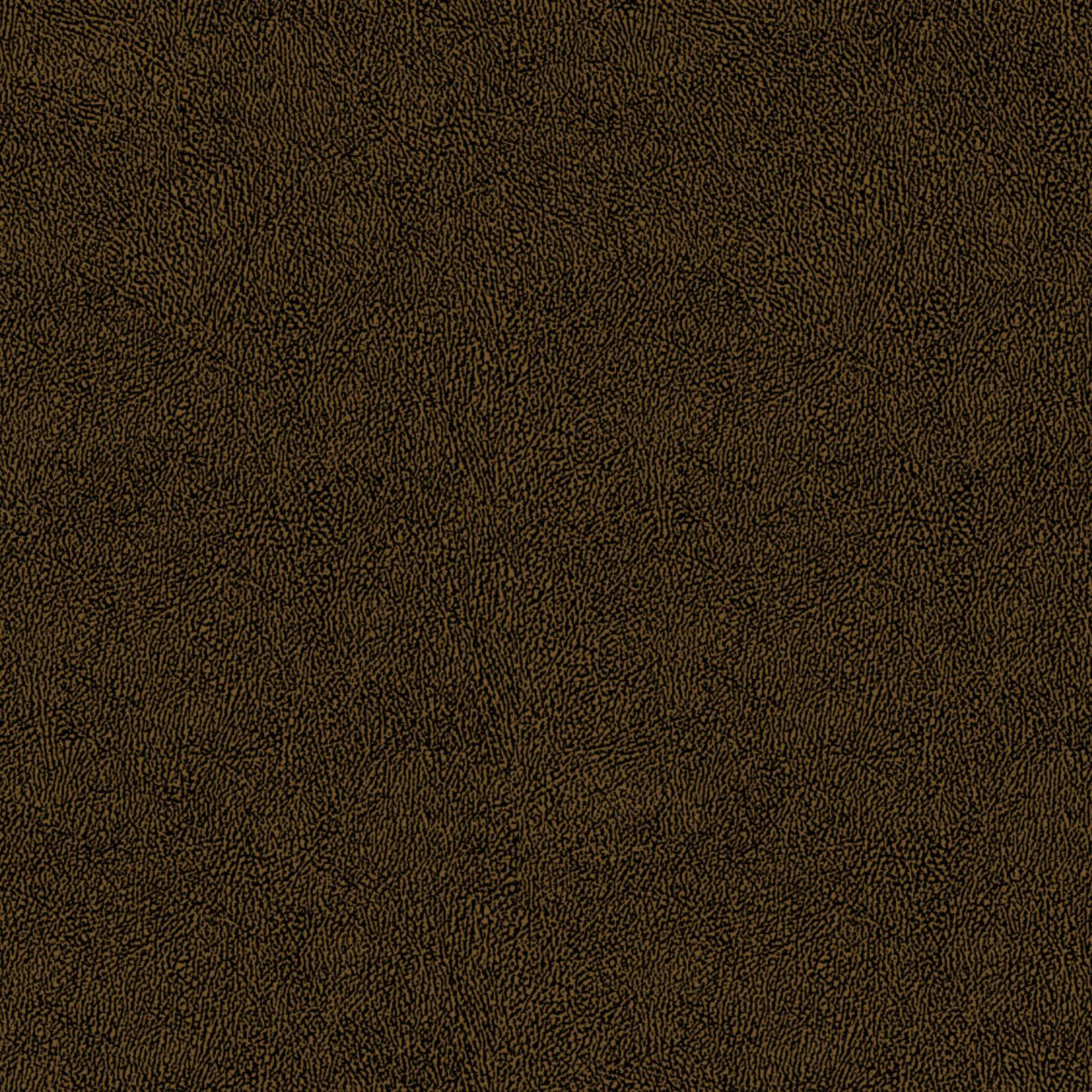 Africa Skin T74