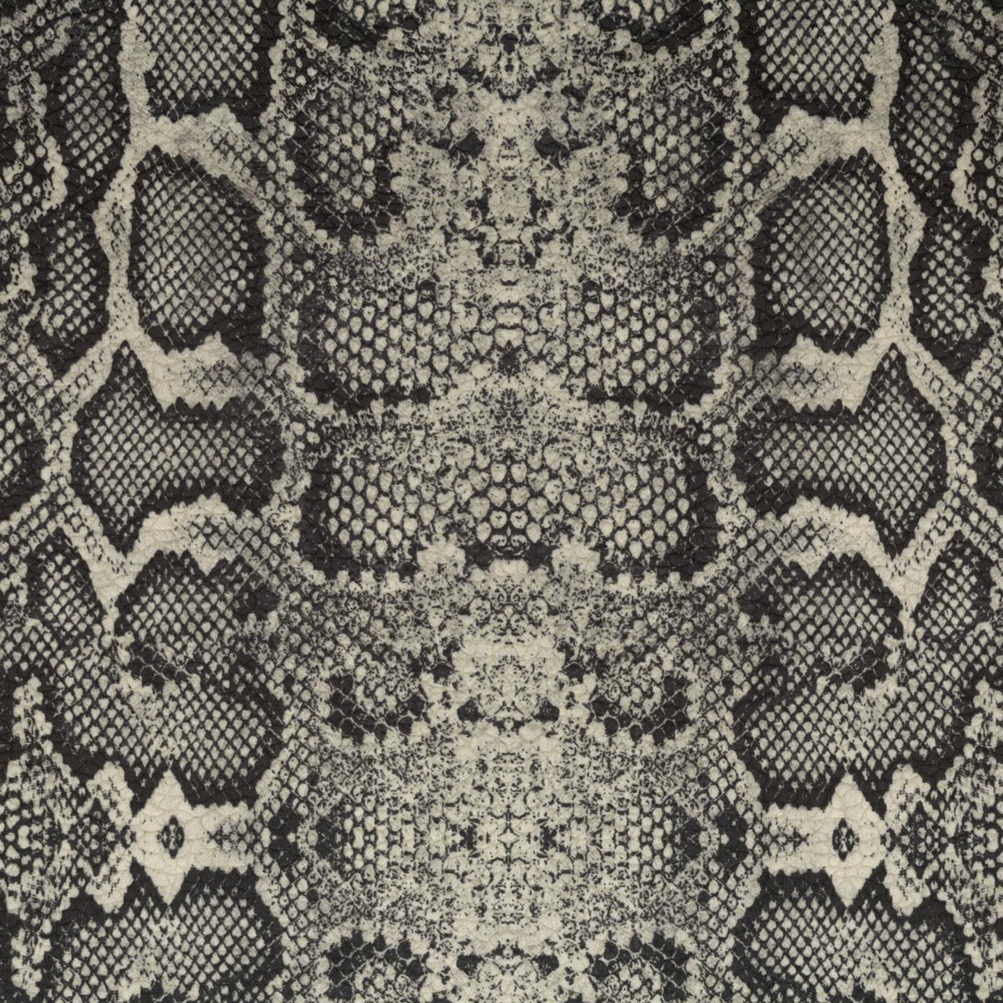 Africa Snake T02