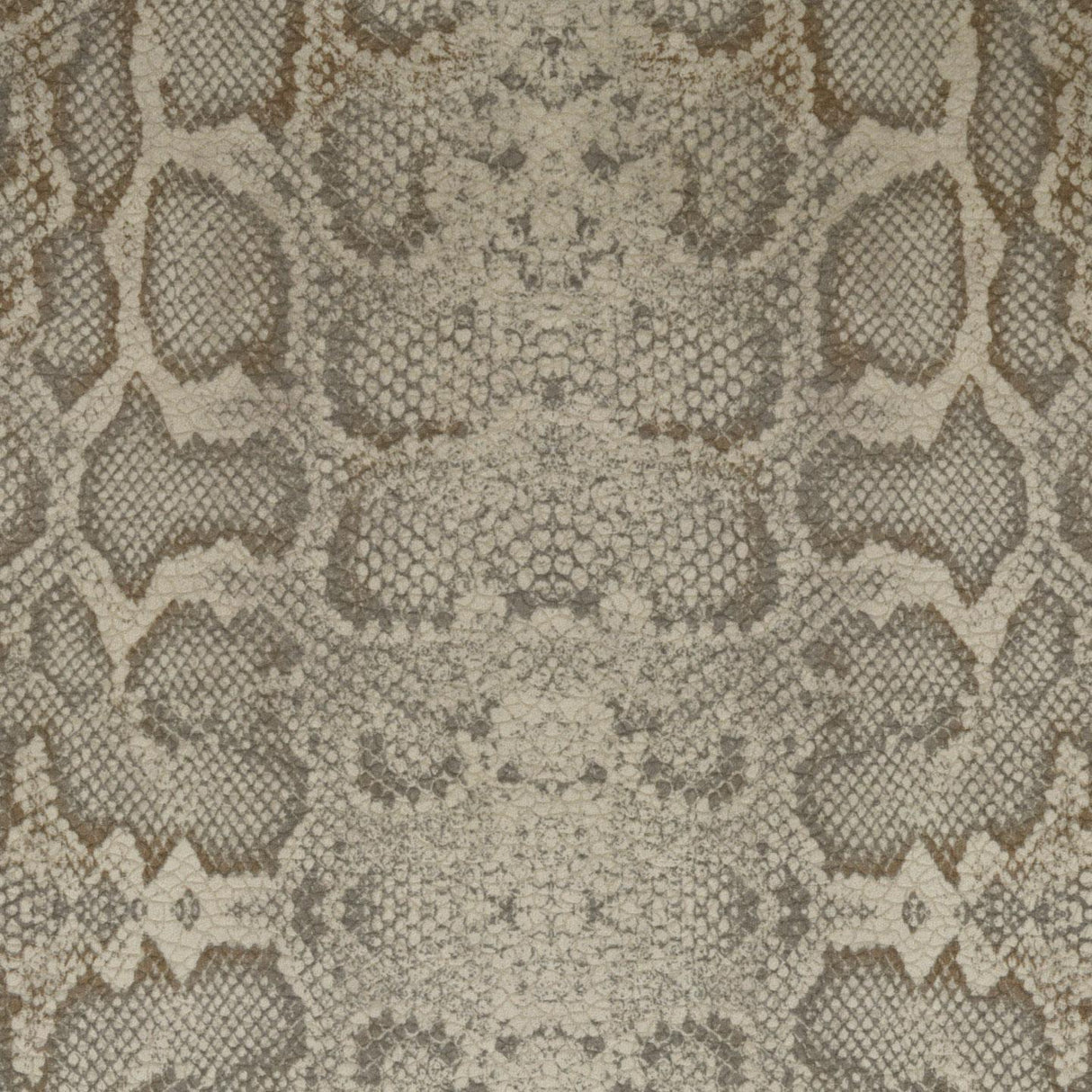 Africa Snake T24