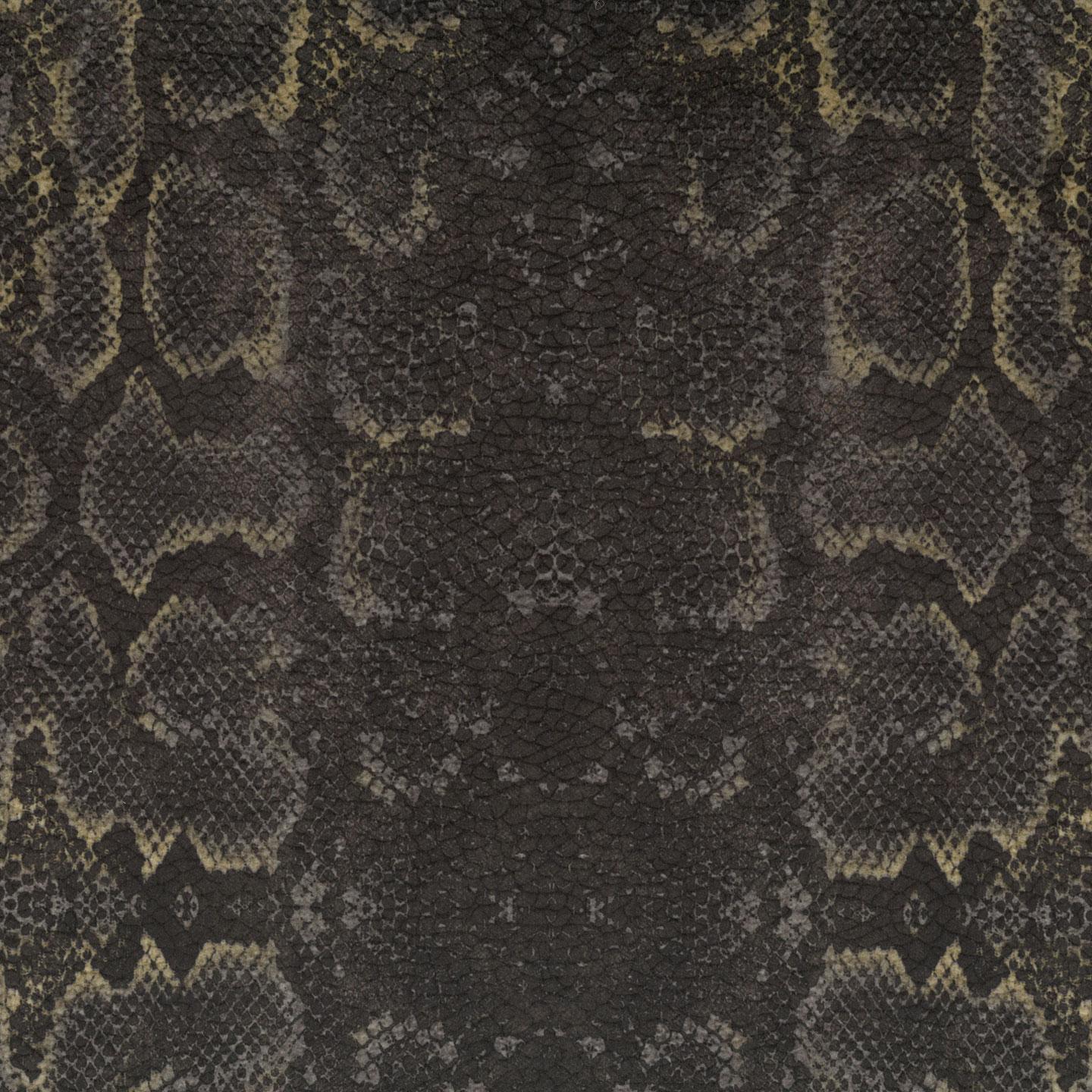 Africa Snake T66