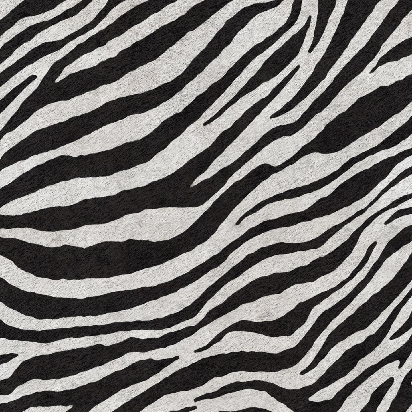 Africa Zebra T02