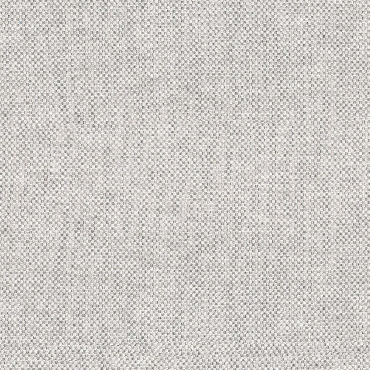 Alba 01