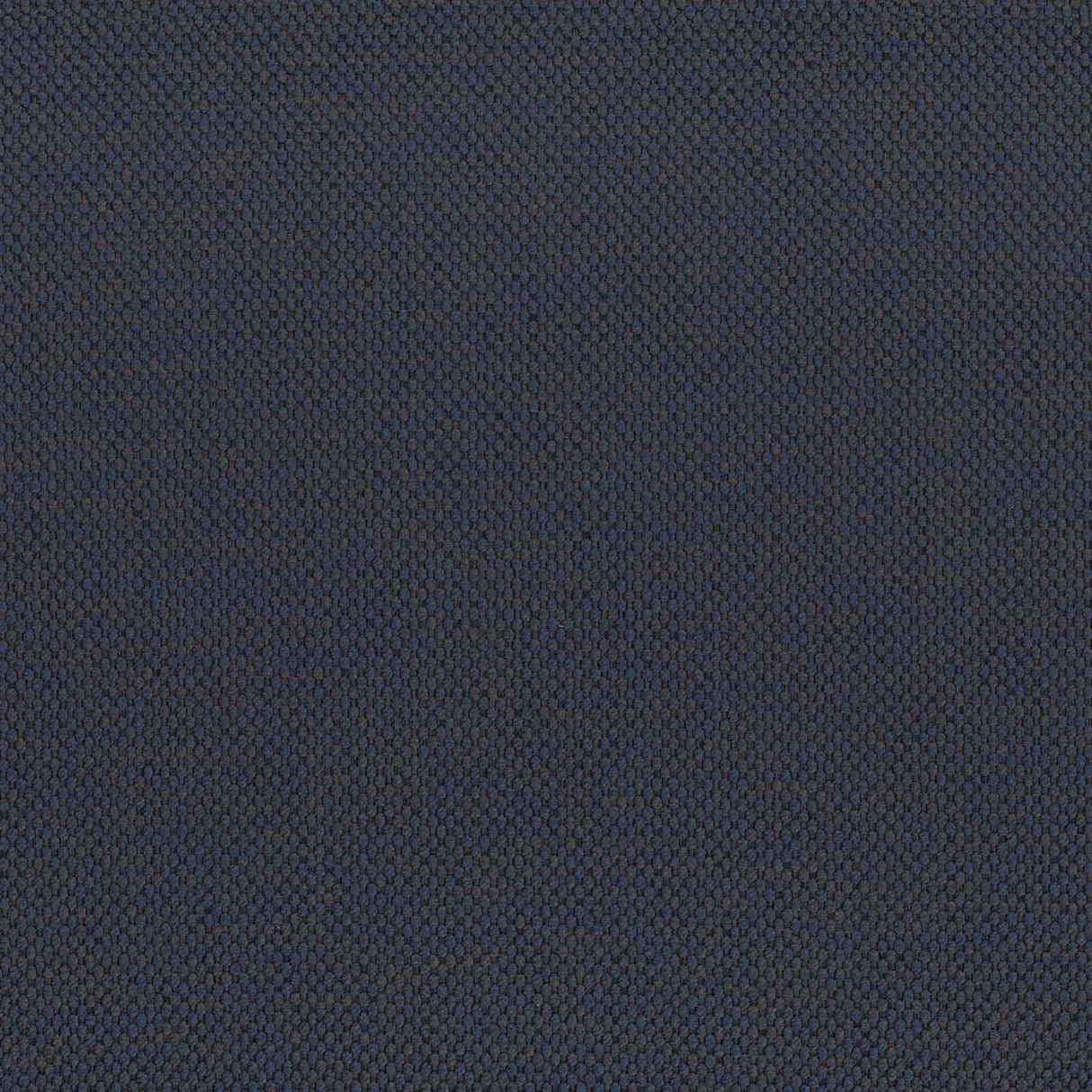 Alba 67