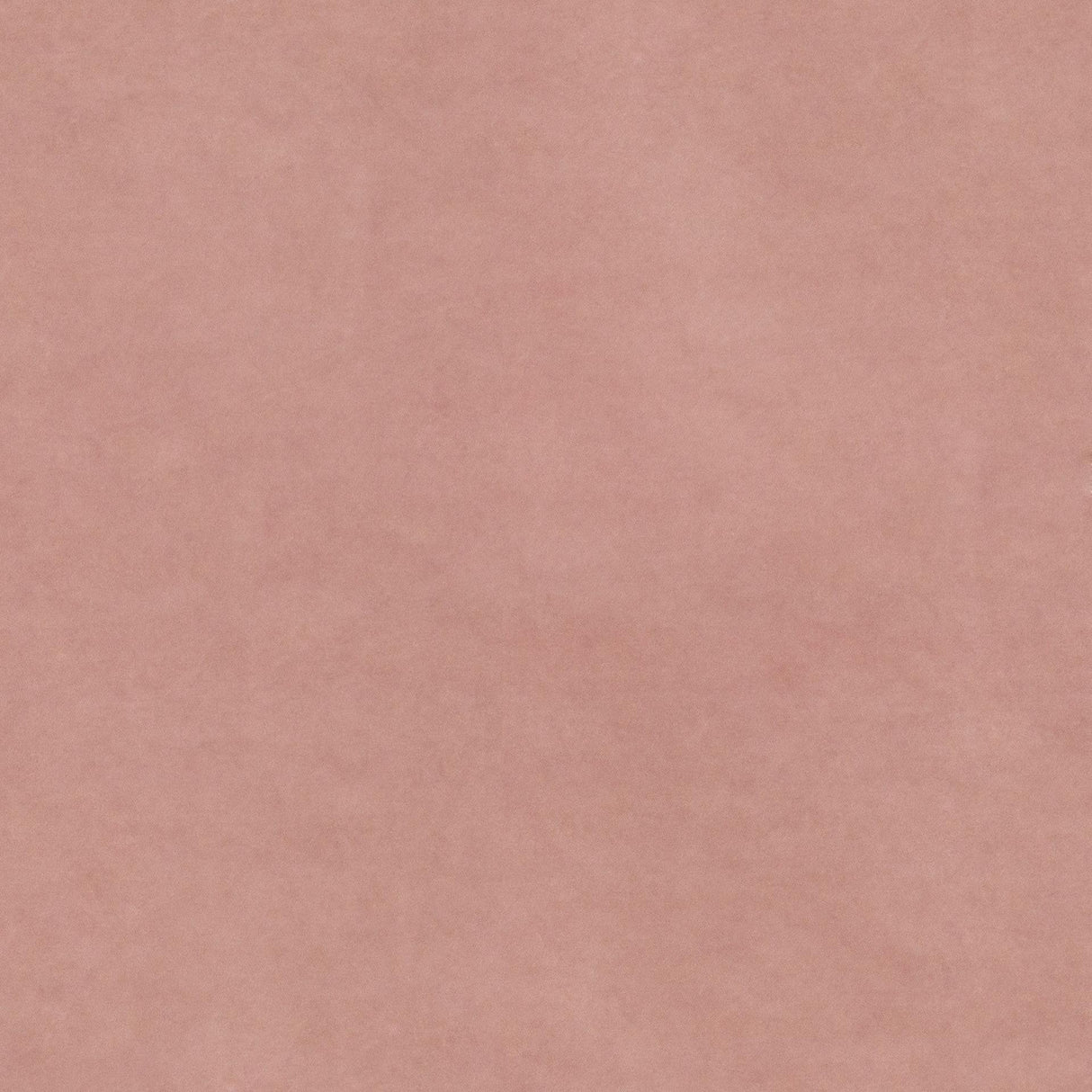 Beltempo 13