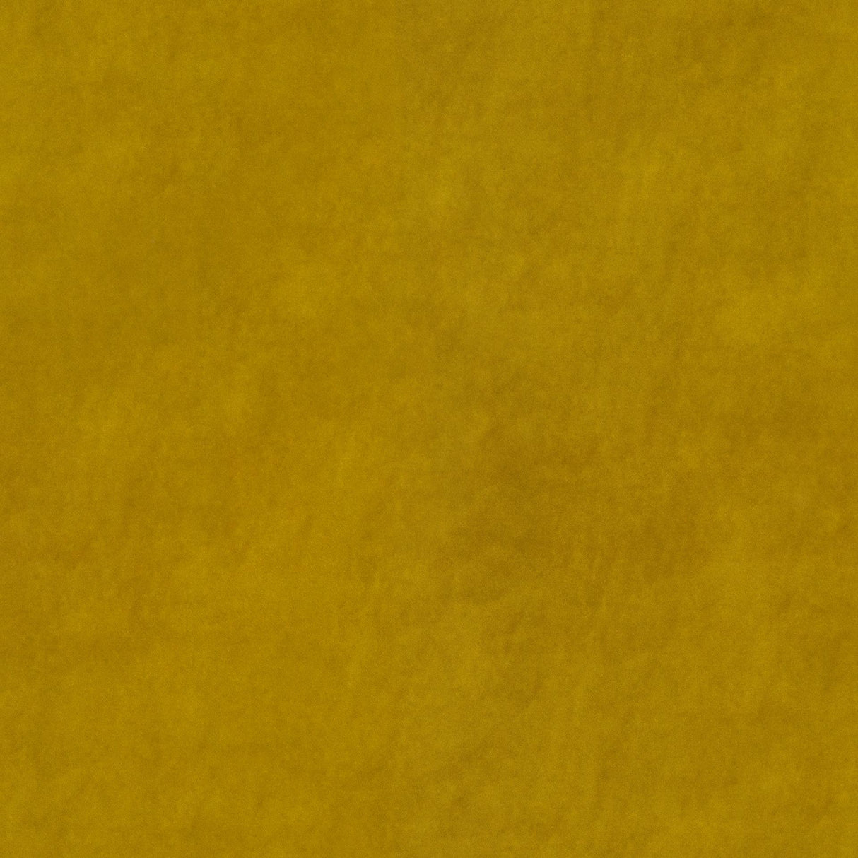 Beltempo 25