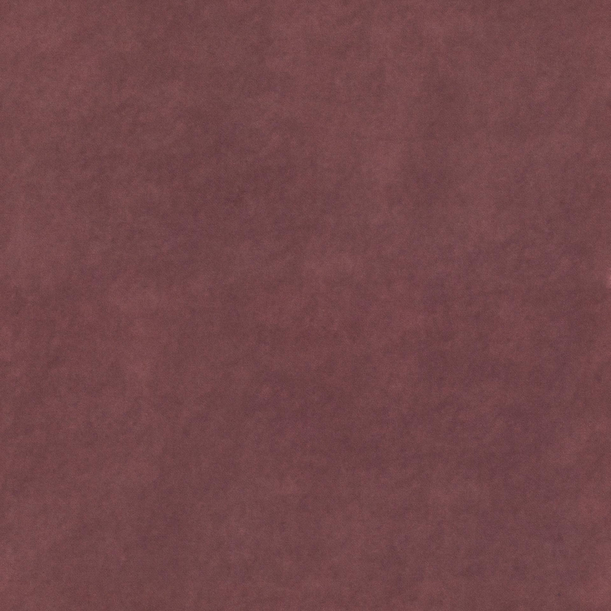 Beltempo 79