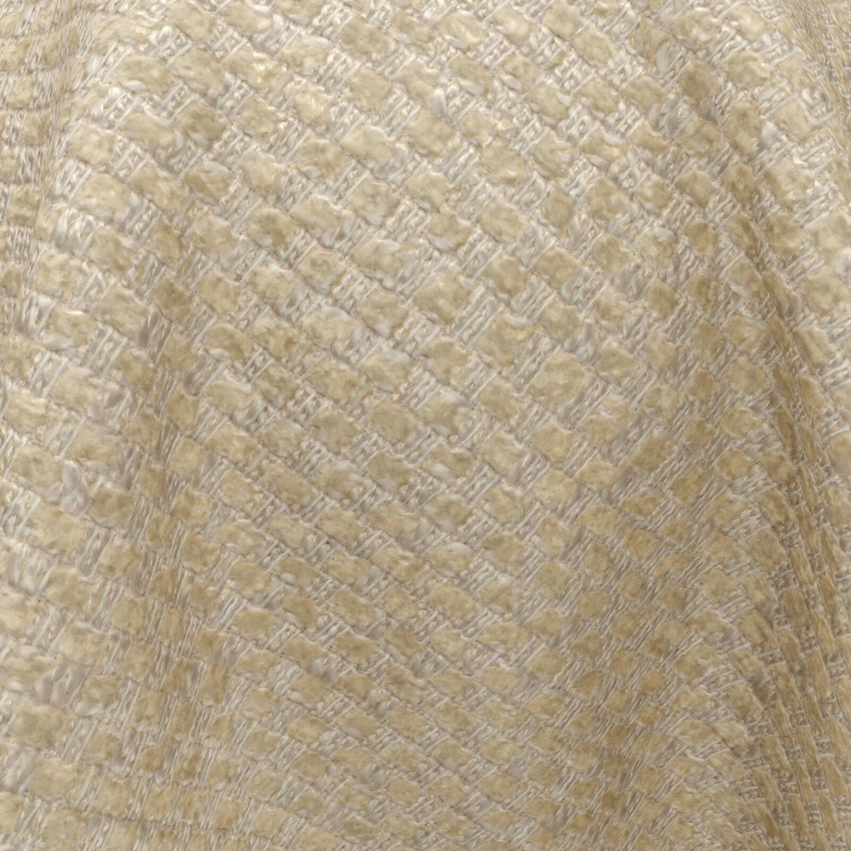 Barbarossa 02 Cocoon