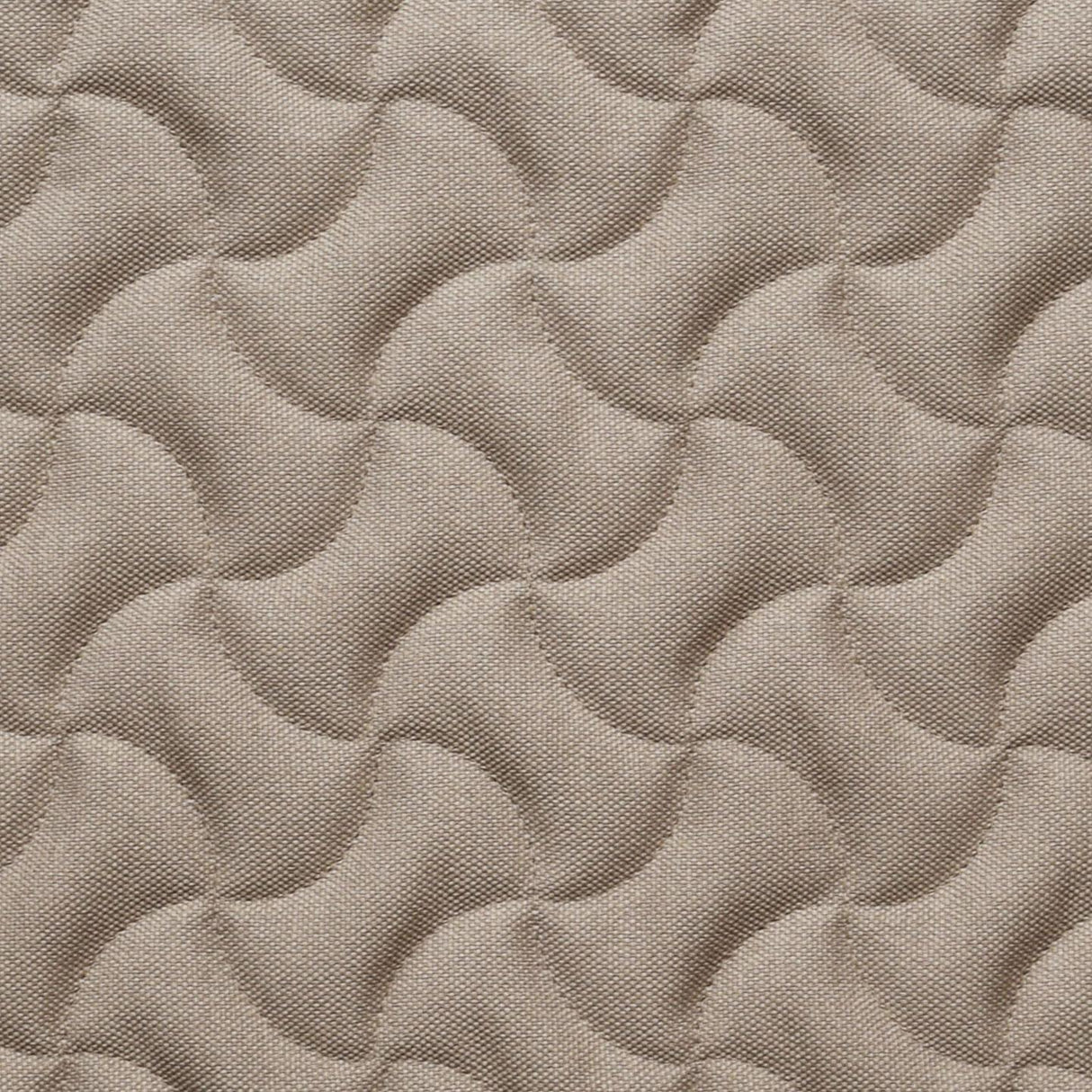 Bombay Bone 24