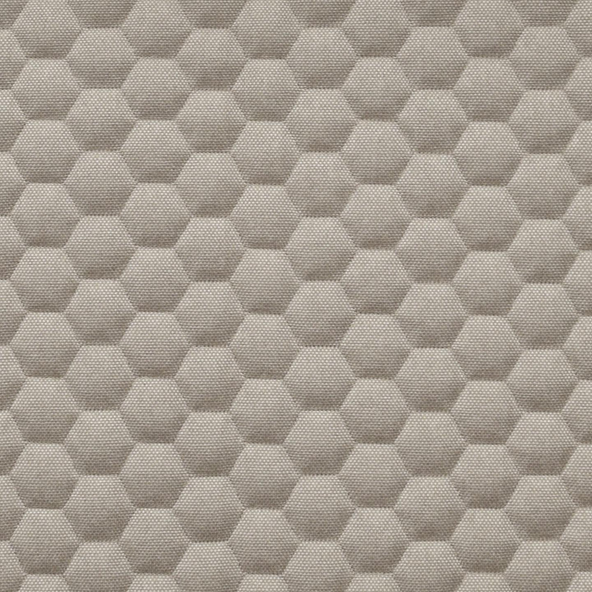 Bombay Hexa 14