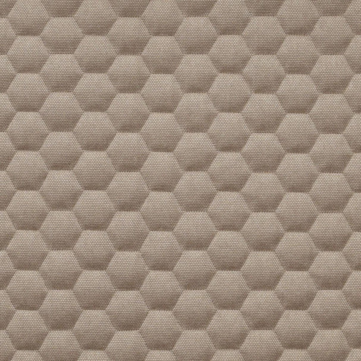 Bombay Hexa 24
