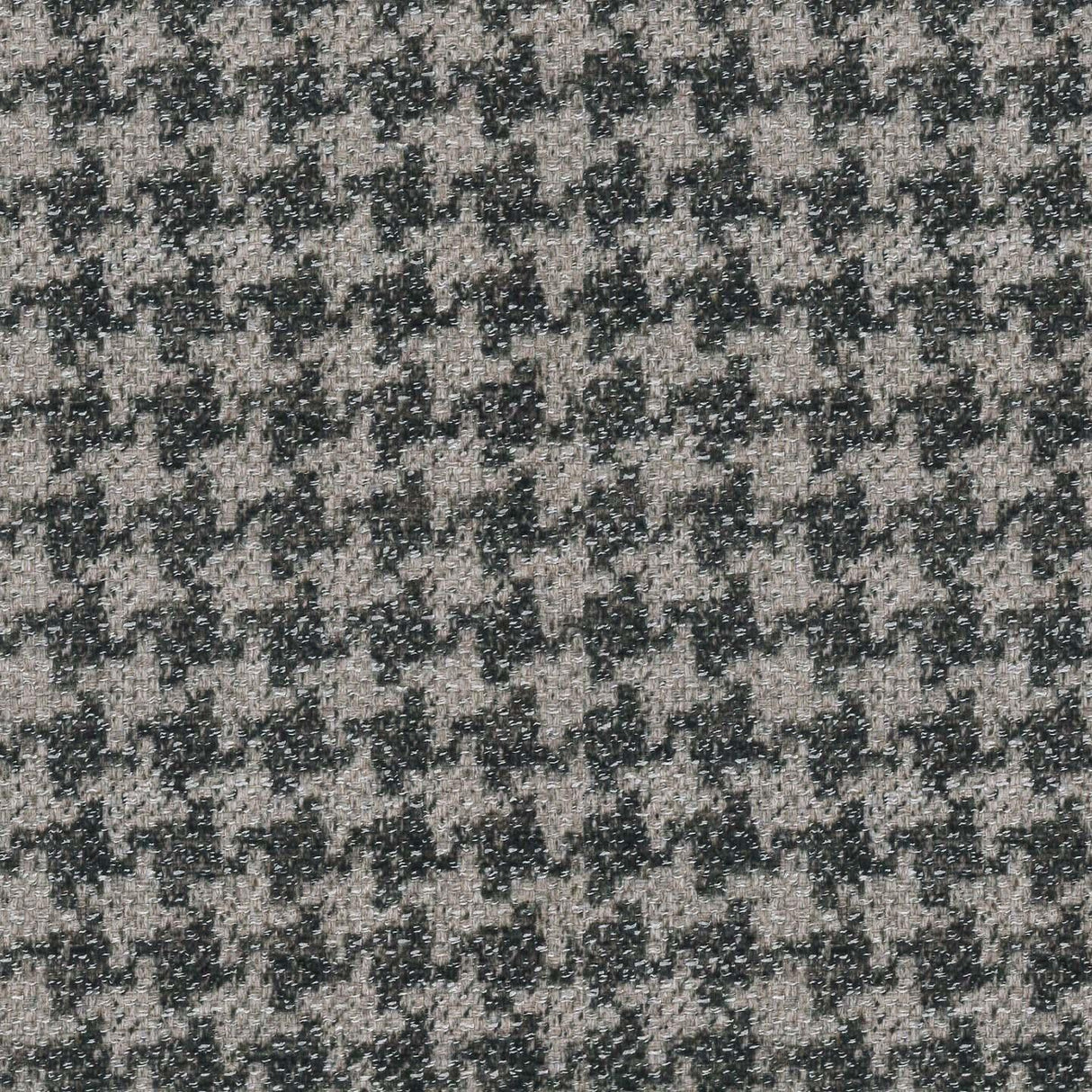 Canada Pepita T02