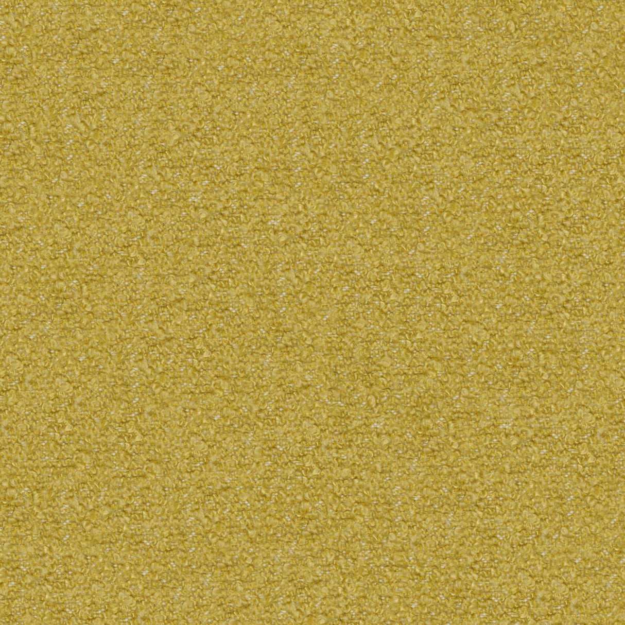 Compete 03