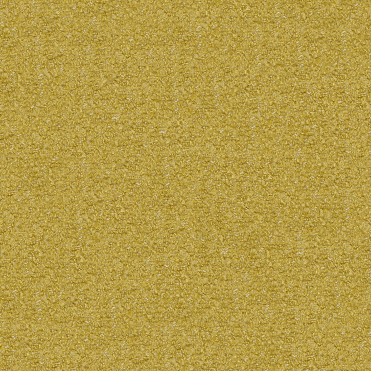 Compete 03