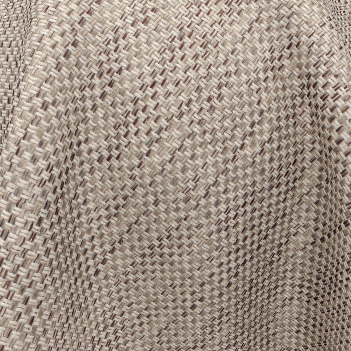 Americano 02 Mushroom