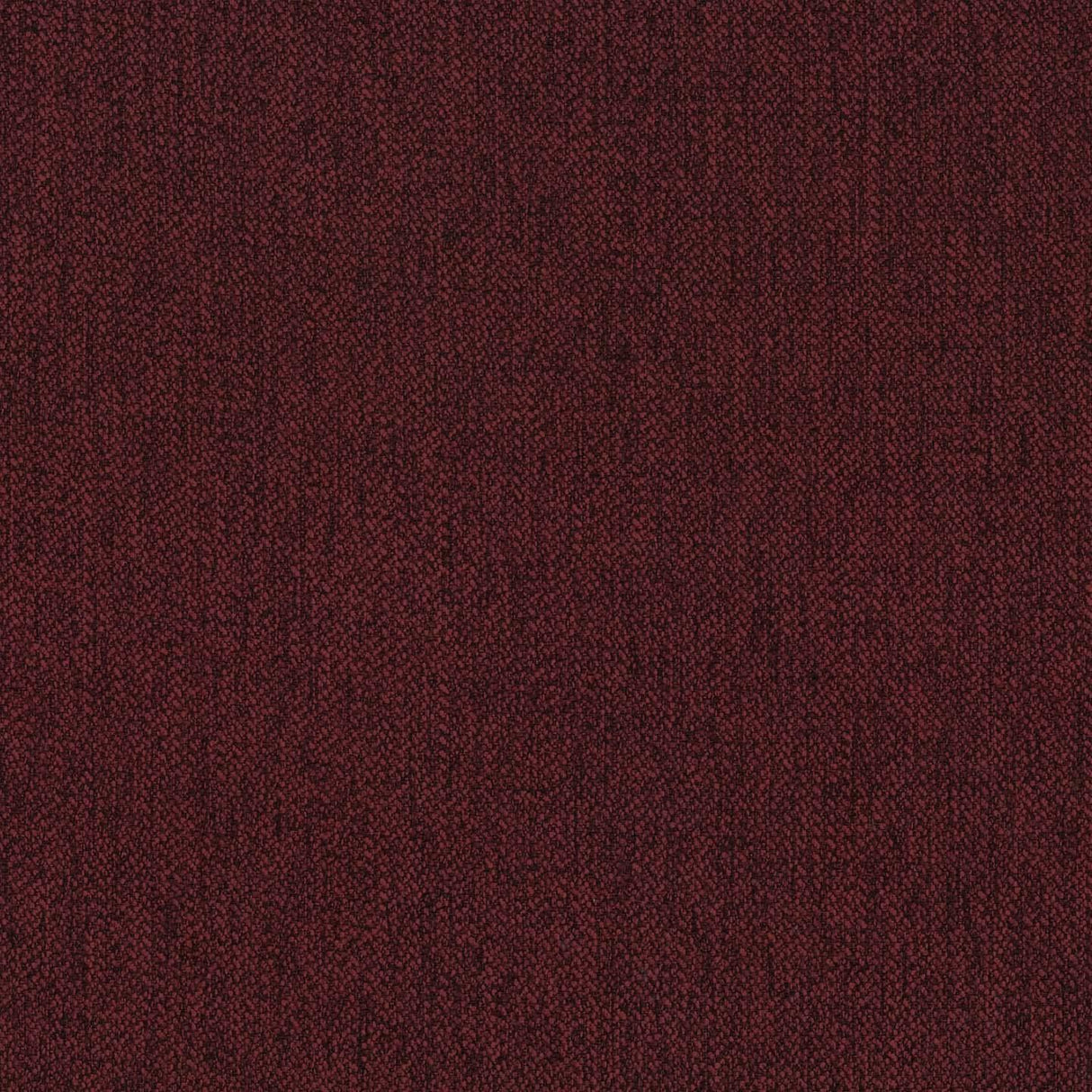 Cali 763