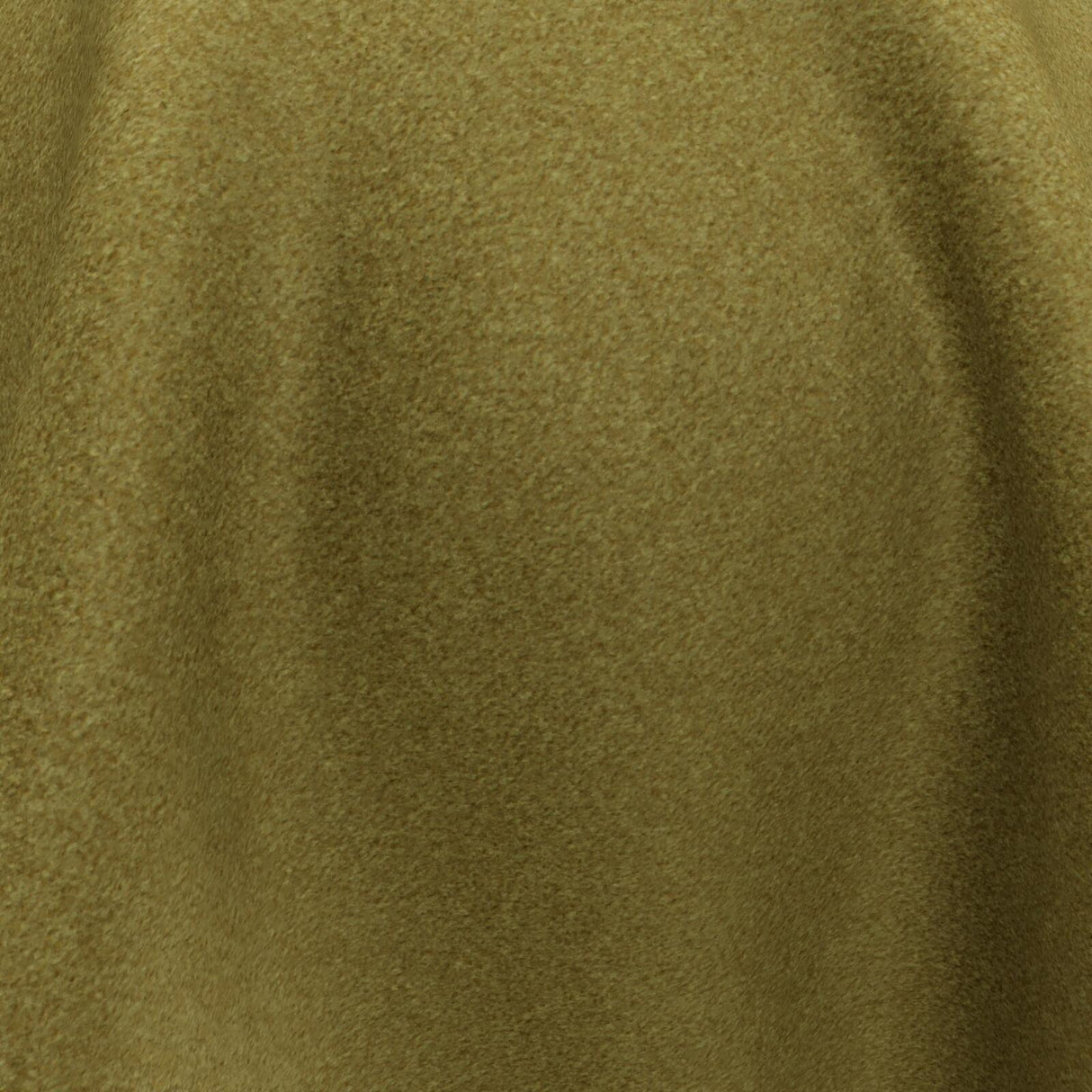 Combo 19 Olive