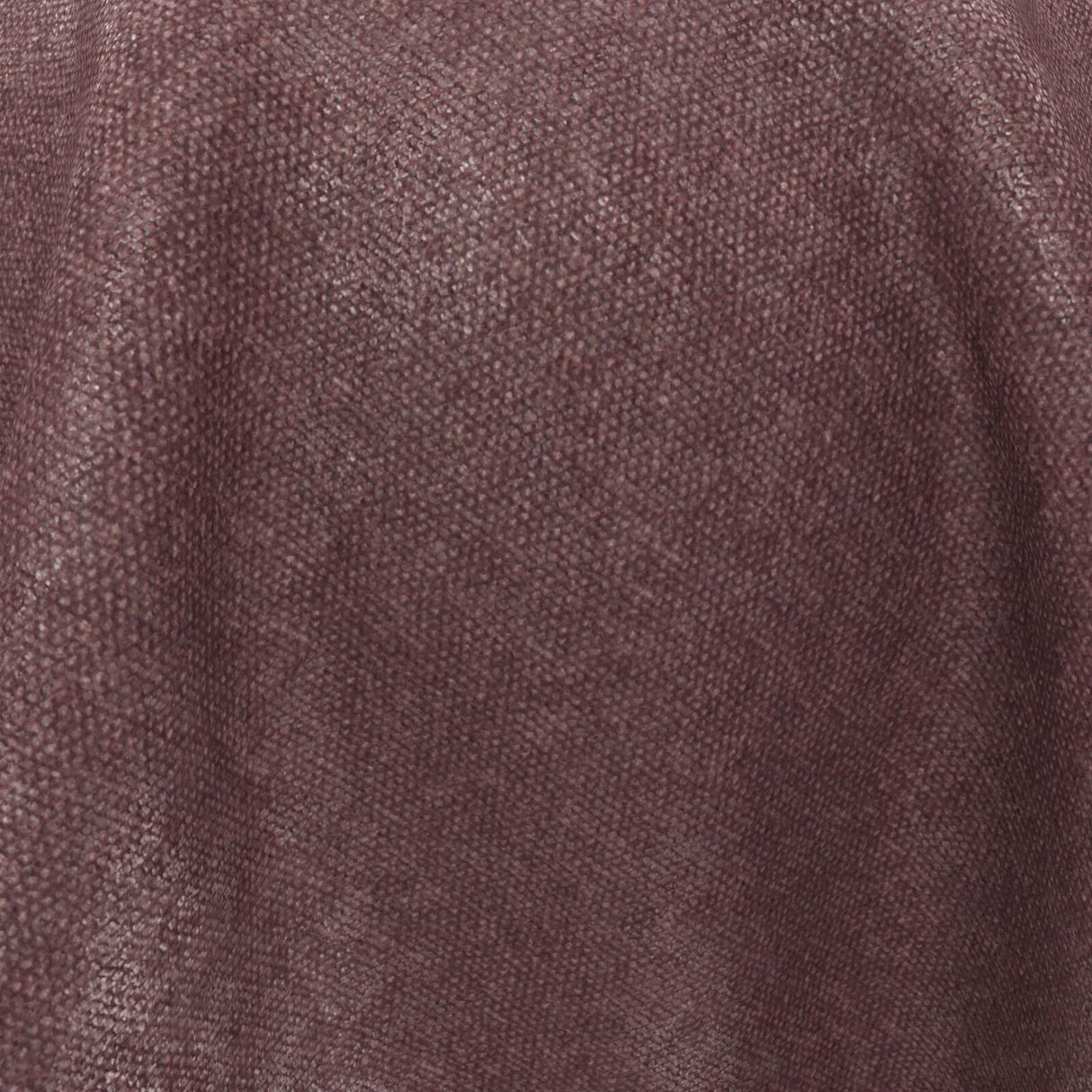 Confidante 09 Orchid