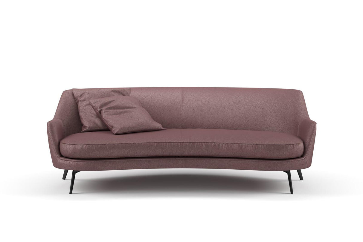 Confidante 09 Orchid