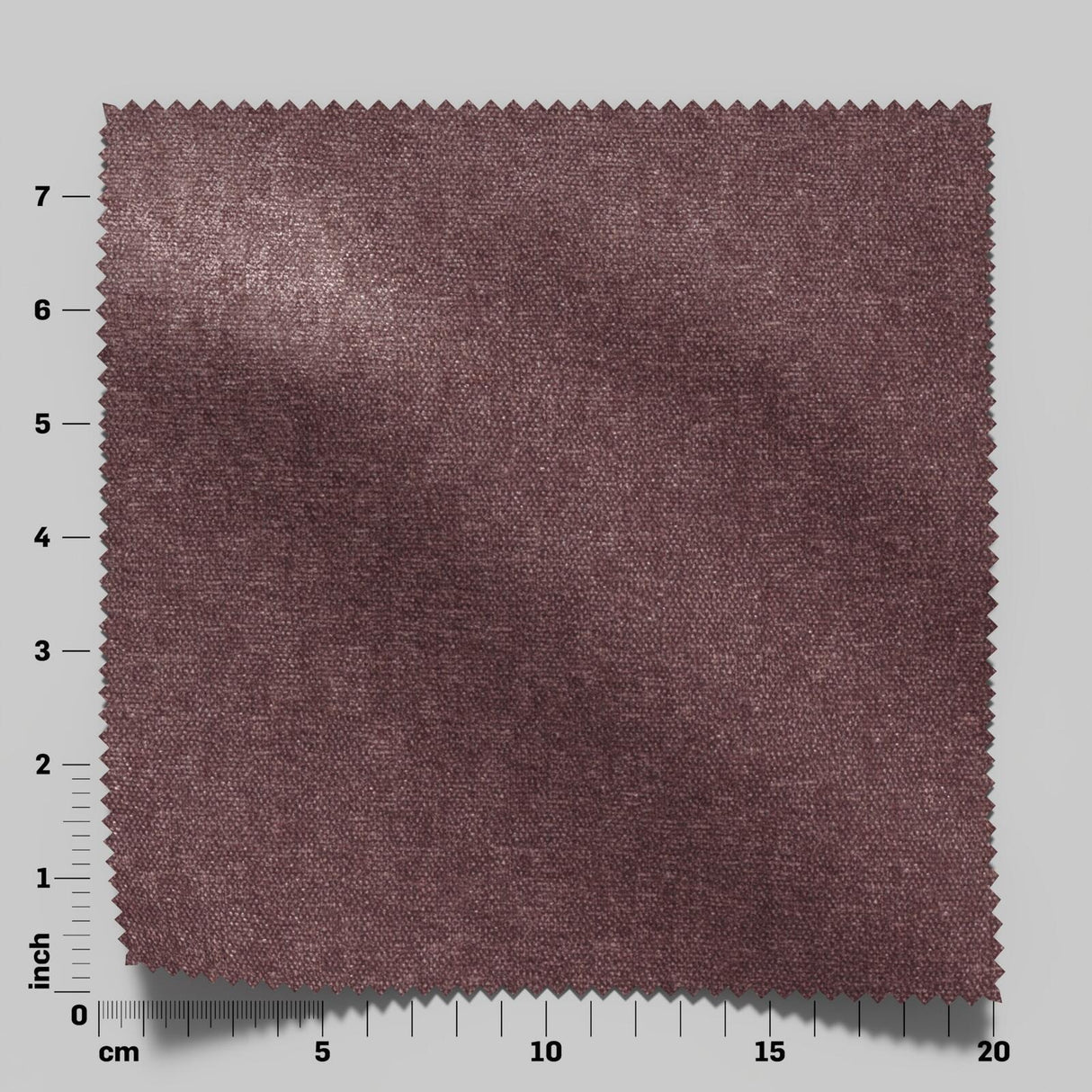 Confidante 09 Orchid