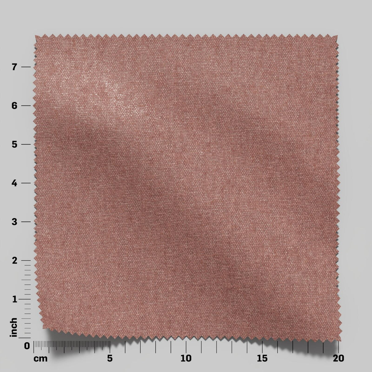 Confidante 10 Blossom