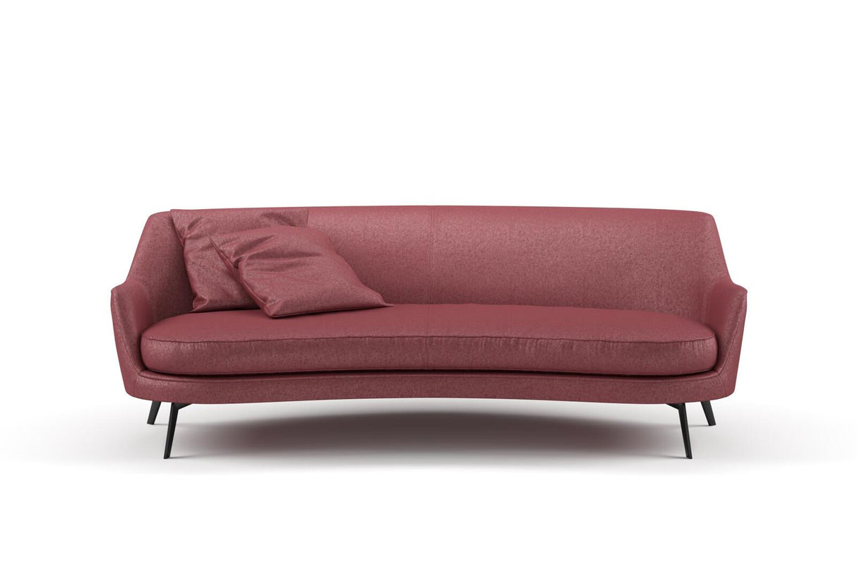 Confidante 11 Peony