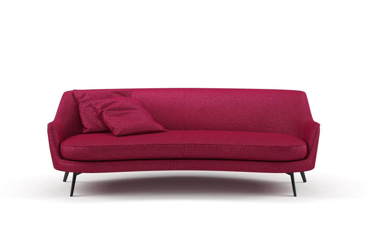 Confidante 12 Tulip