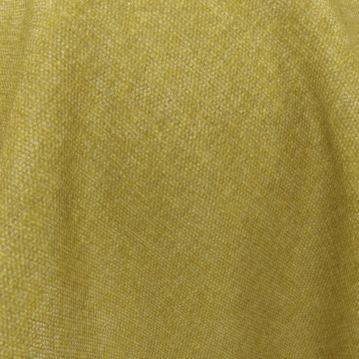 Confidante 20 Linden