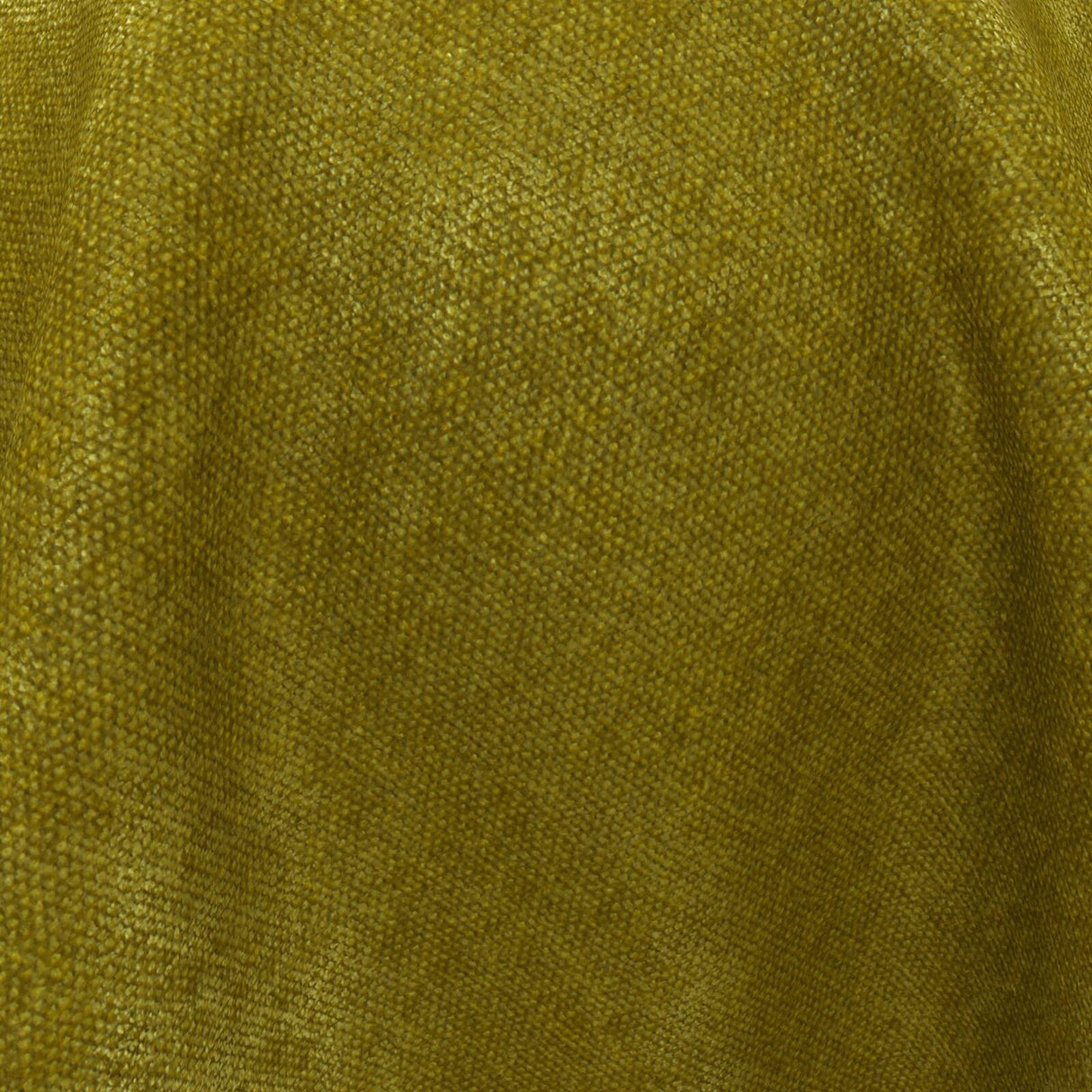 Confidante 21 Turtle