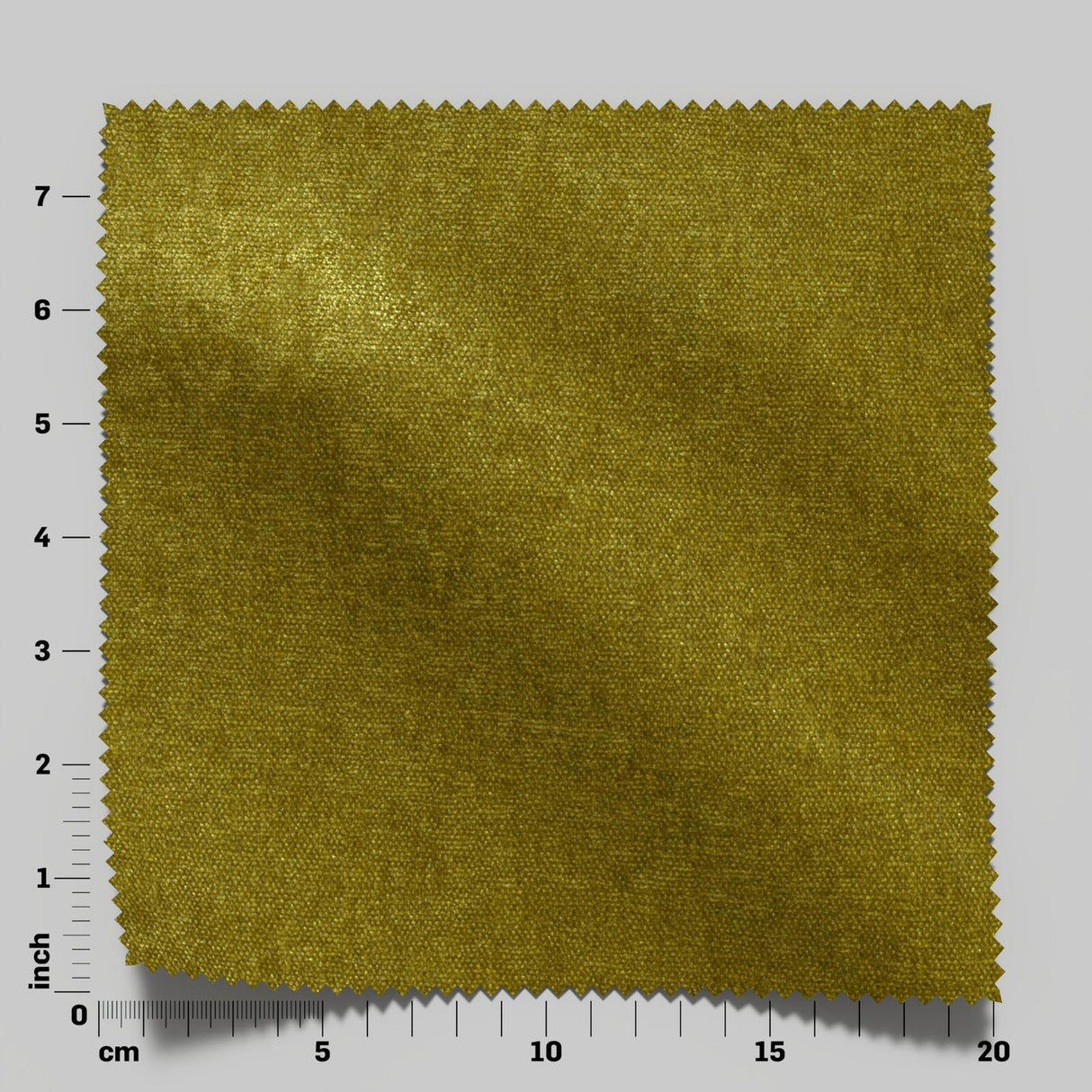 Confidante 21 Turtle