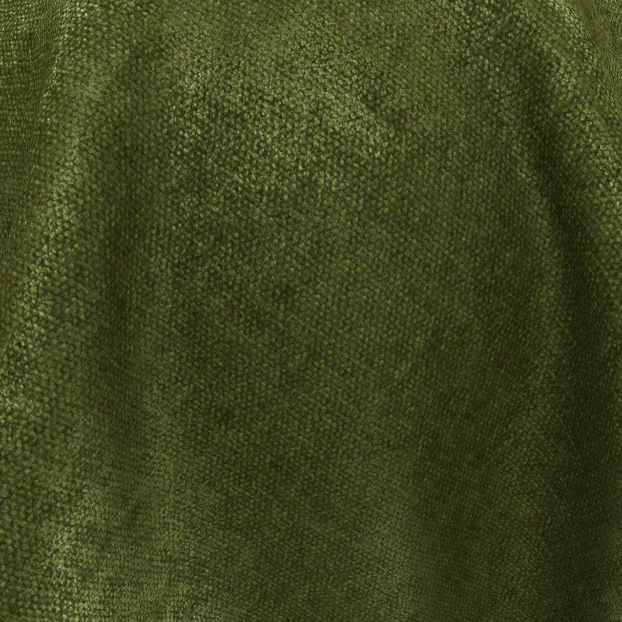 Confidante 22 Grass