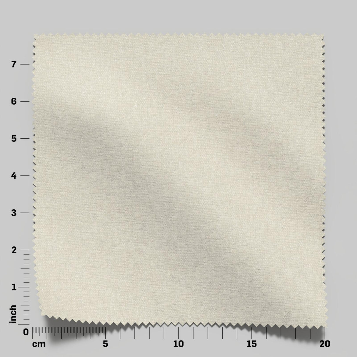 Confidante 47 Champagne