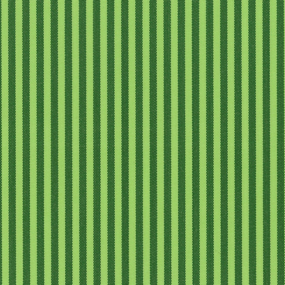 Coral 02