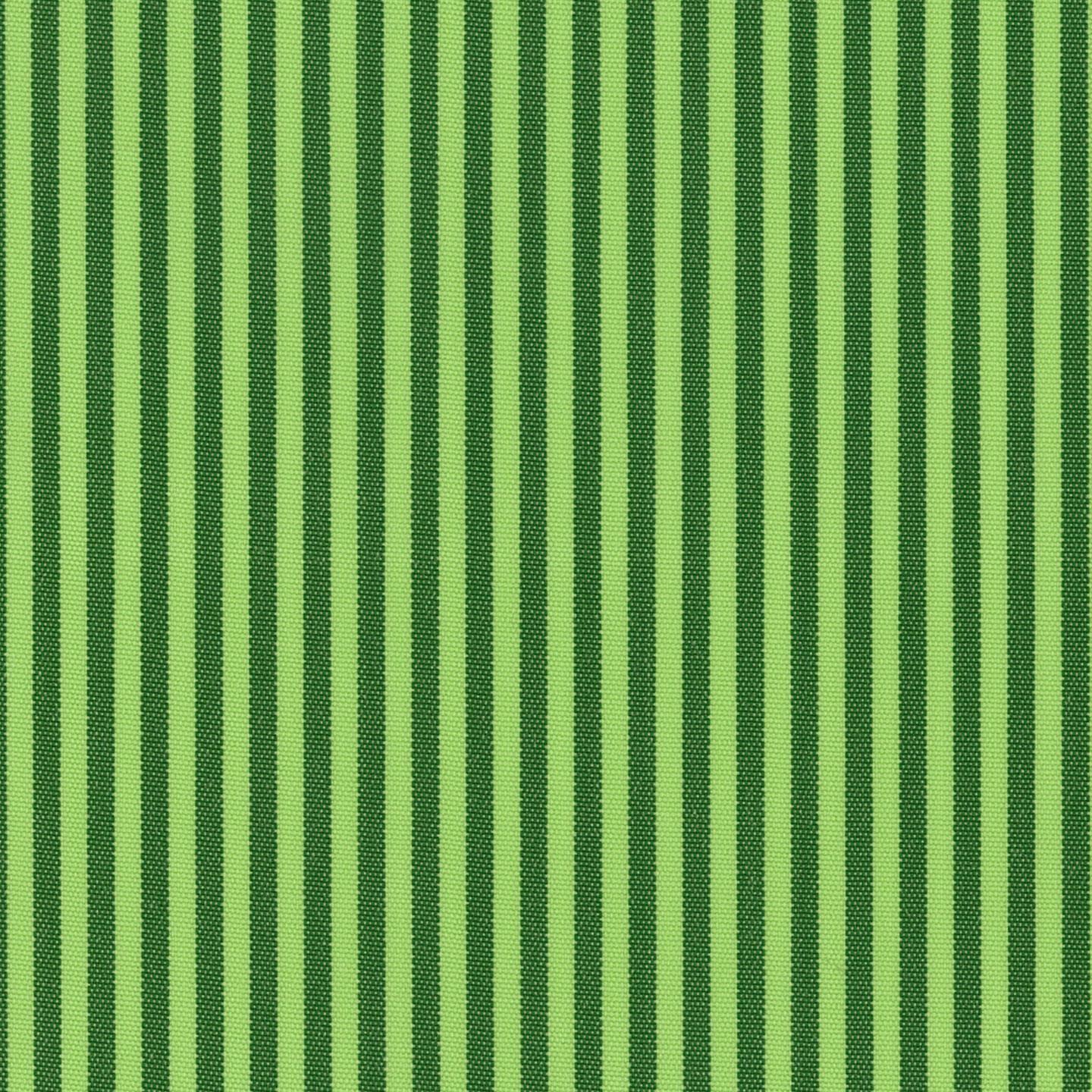 Coral 02