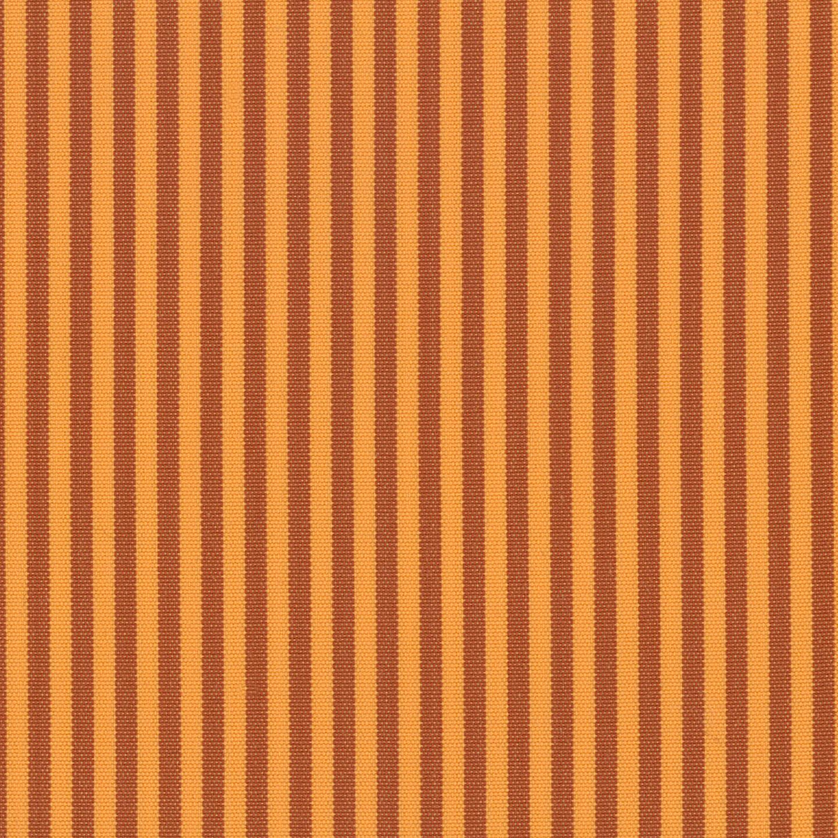 Coral 04
