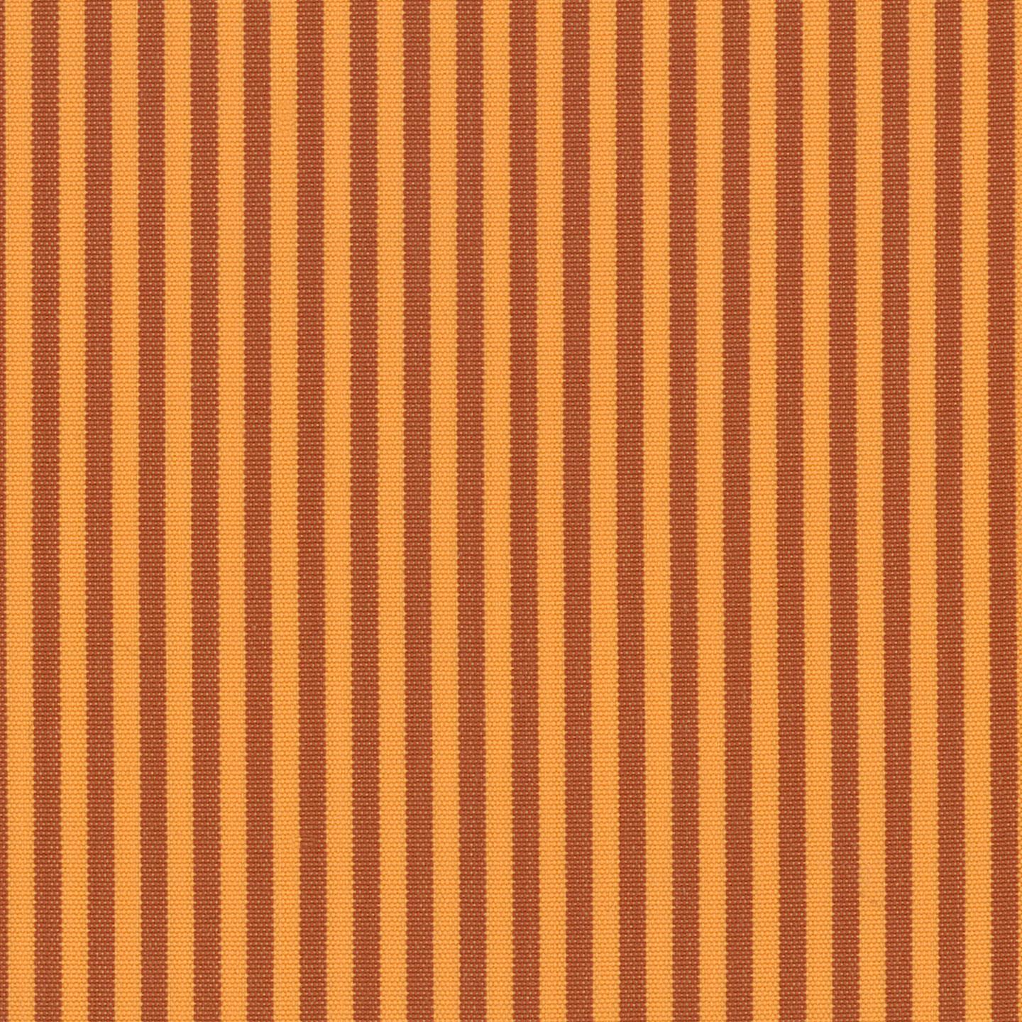 Coral 04