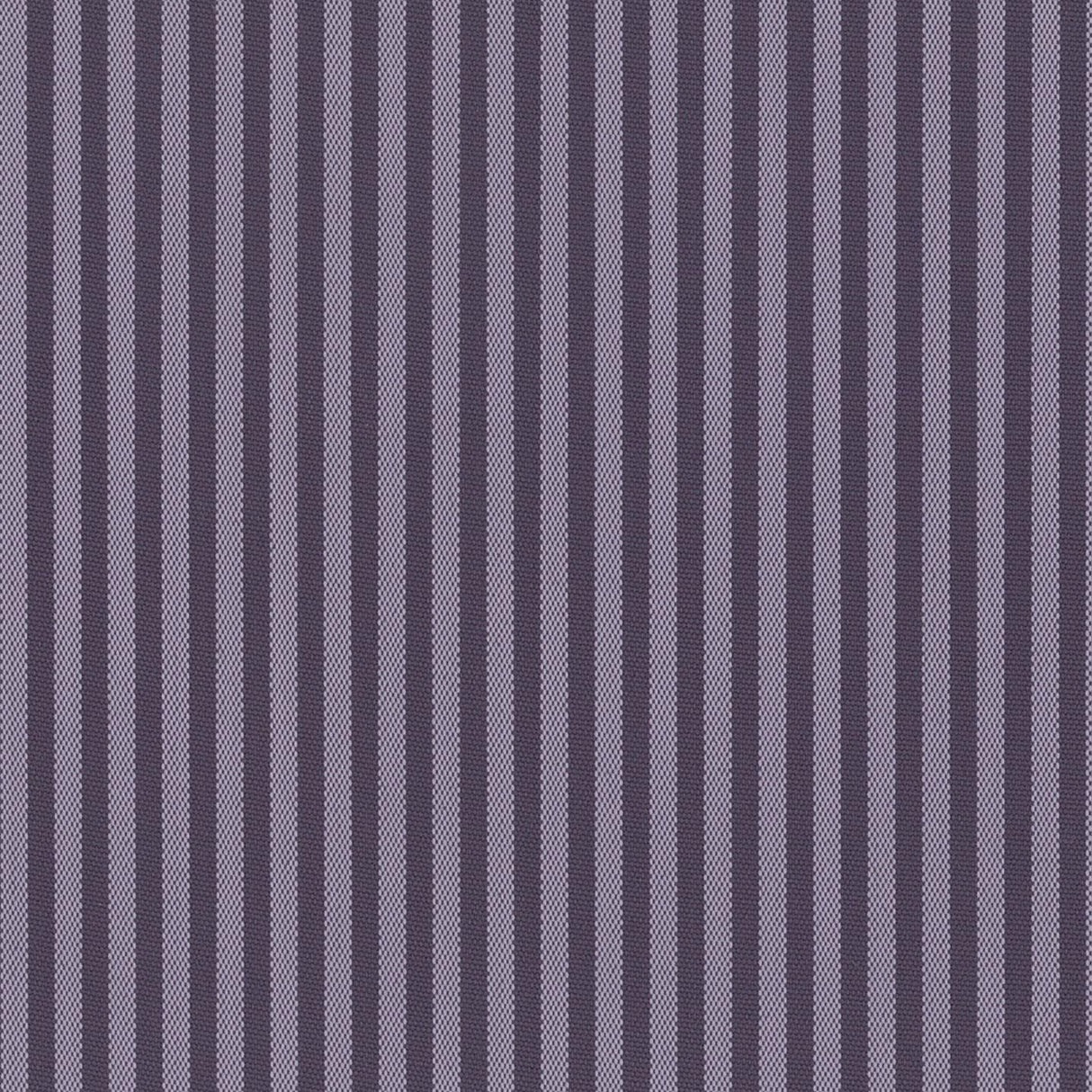 Coral 06
