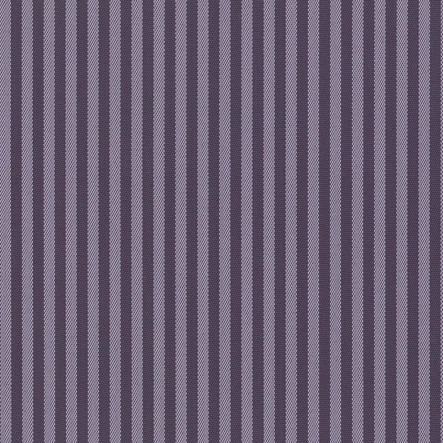 Coral 06