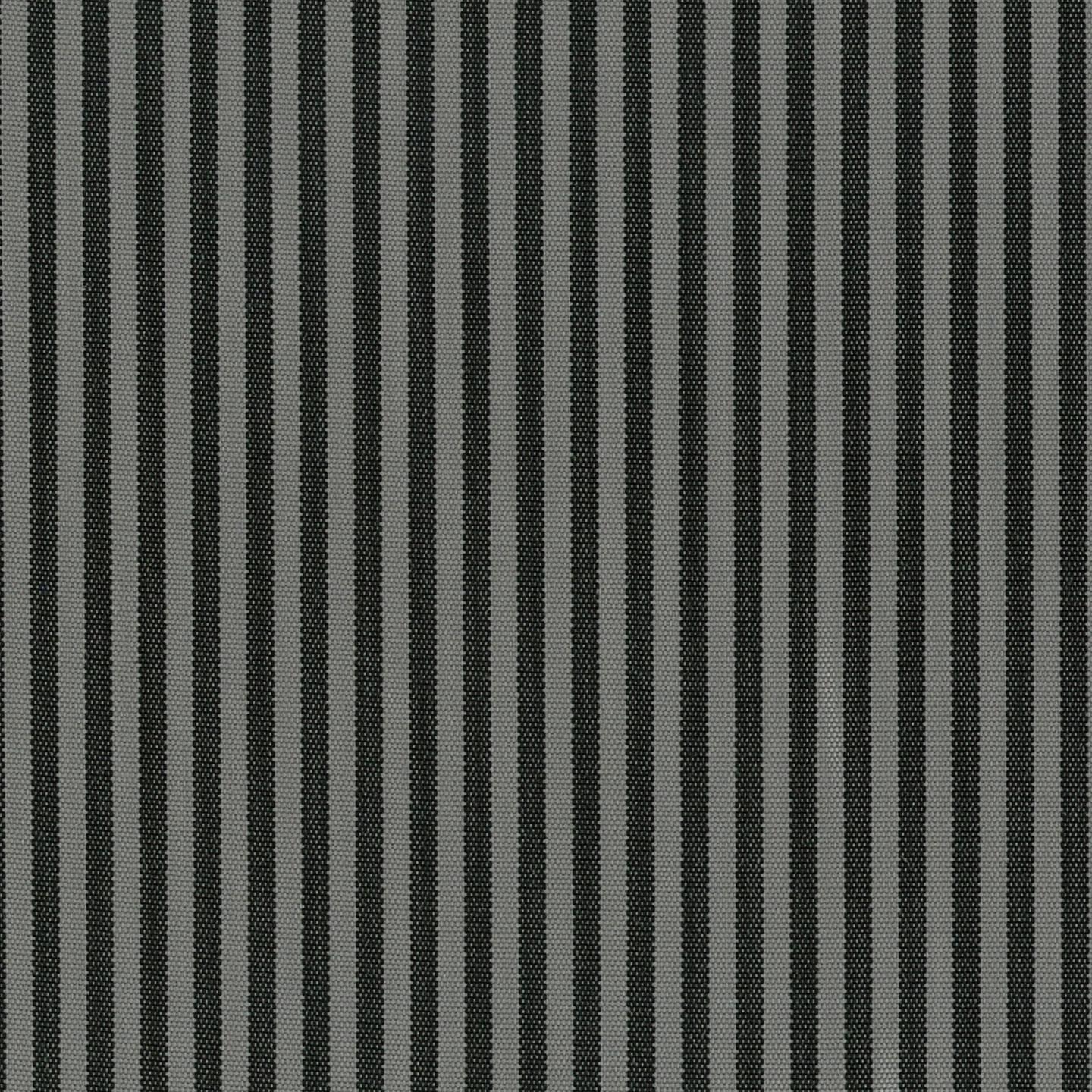 Coral 07