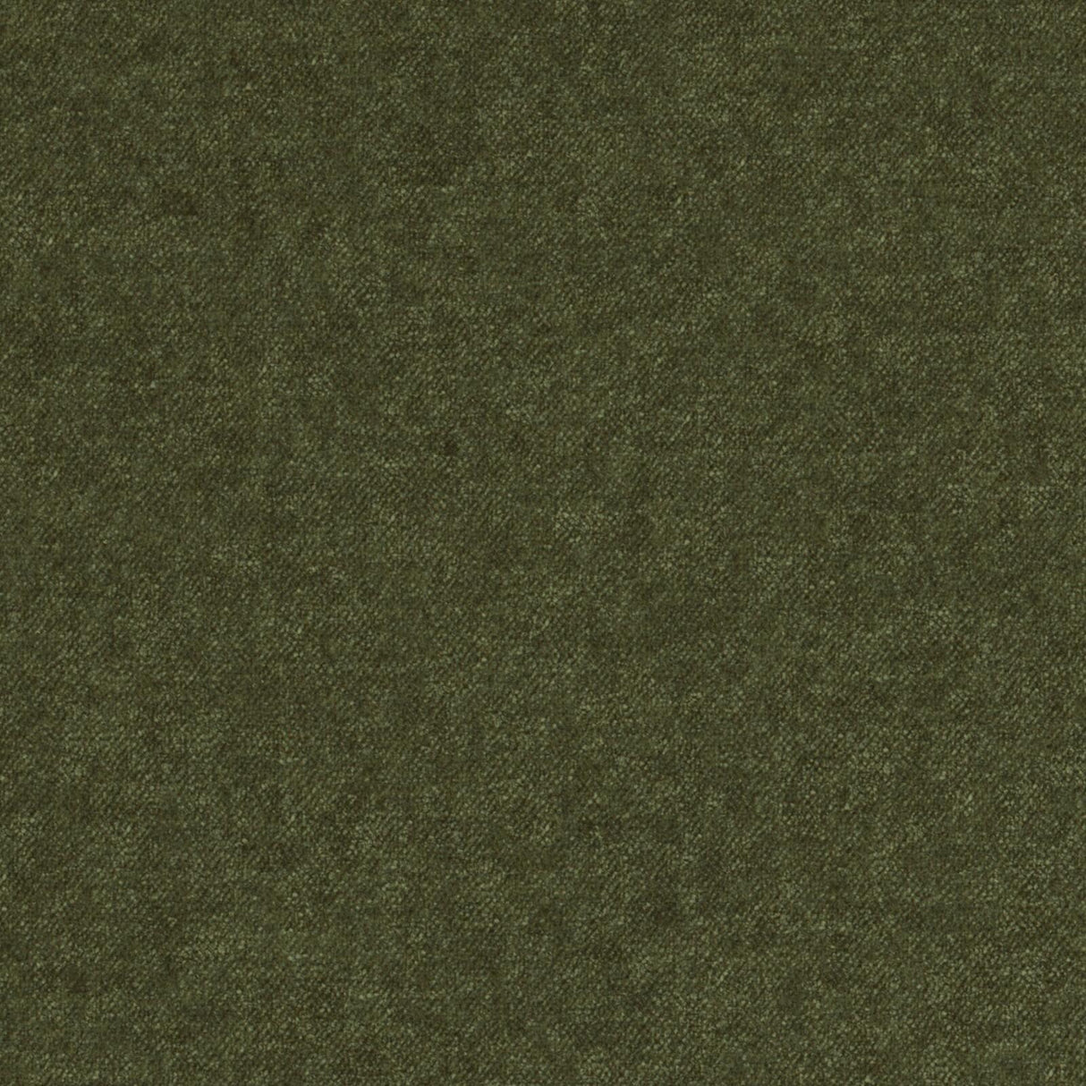 Dana 16