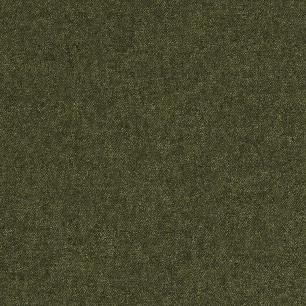 Dana 16