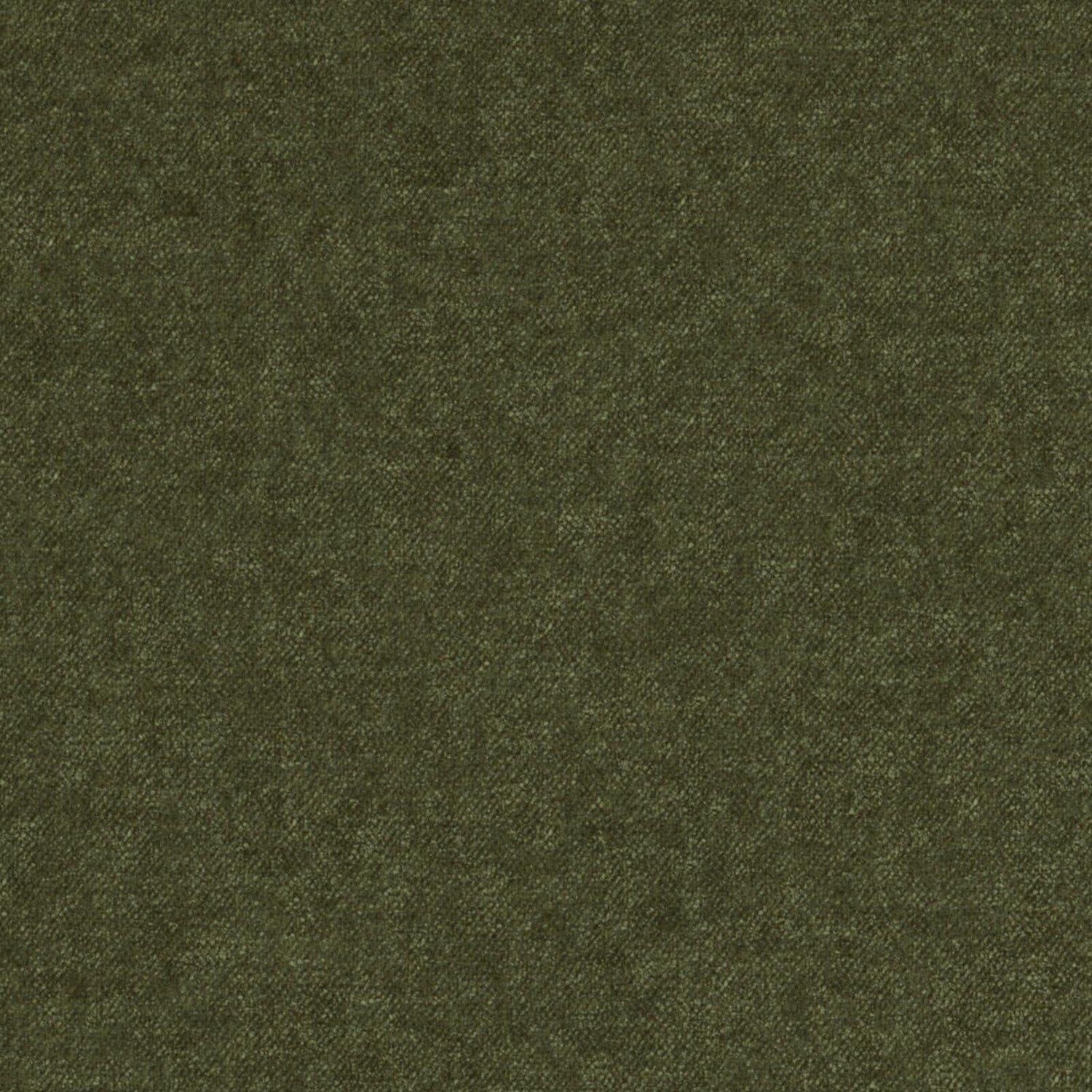 Dana 16