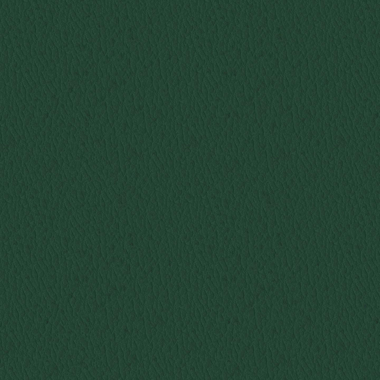 Denver 520058