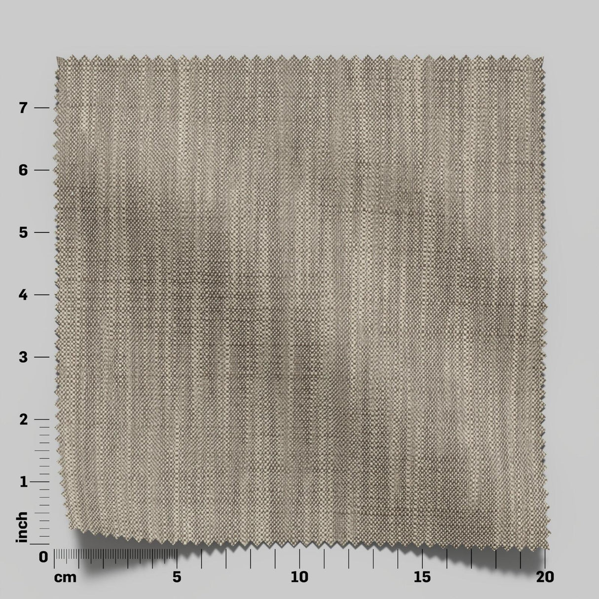 Desertia 10 Fossil