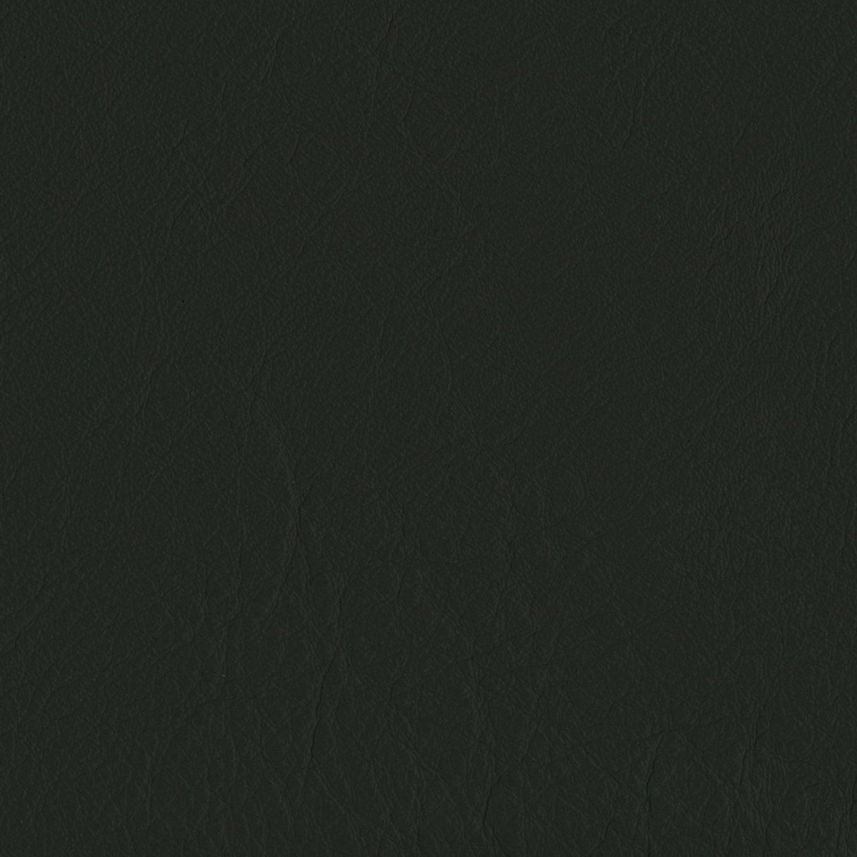 Emotion 207002