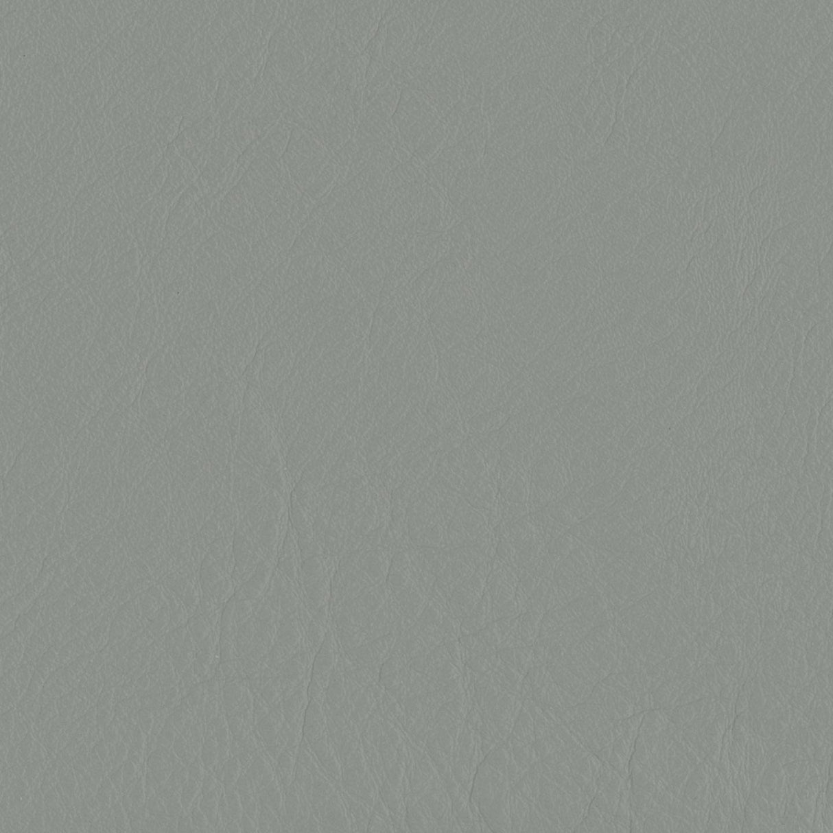 Emotion 210046