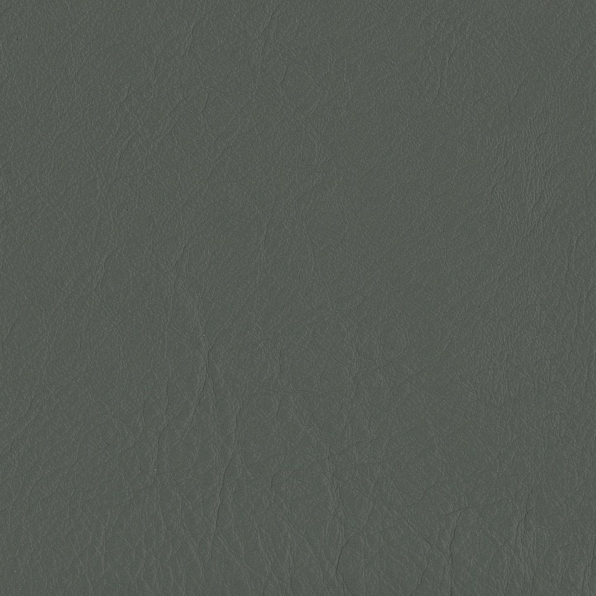 Emotion 211076