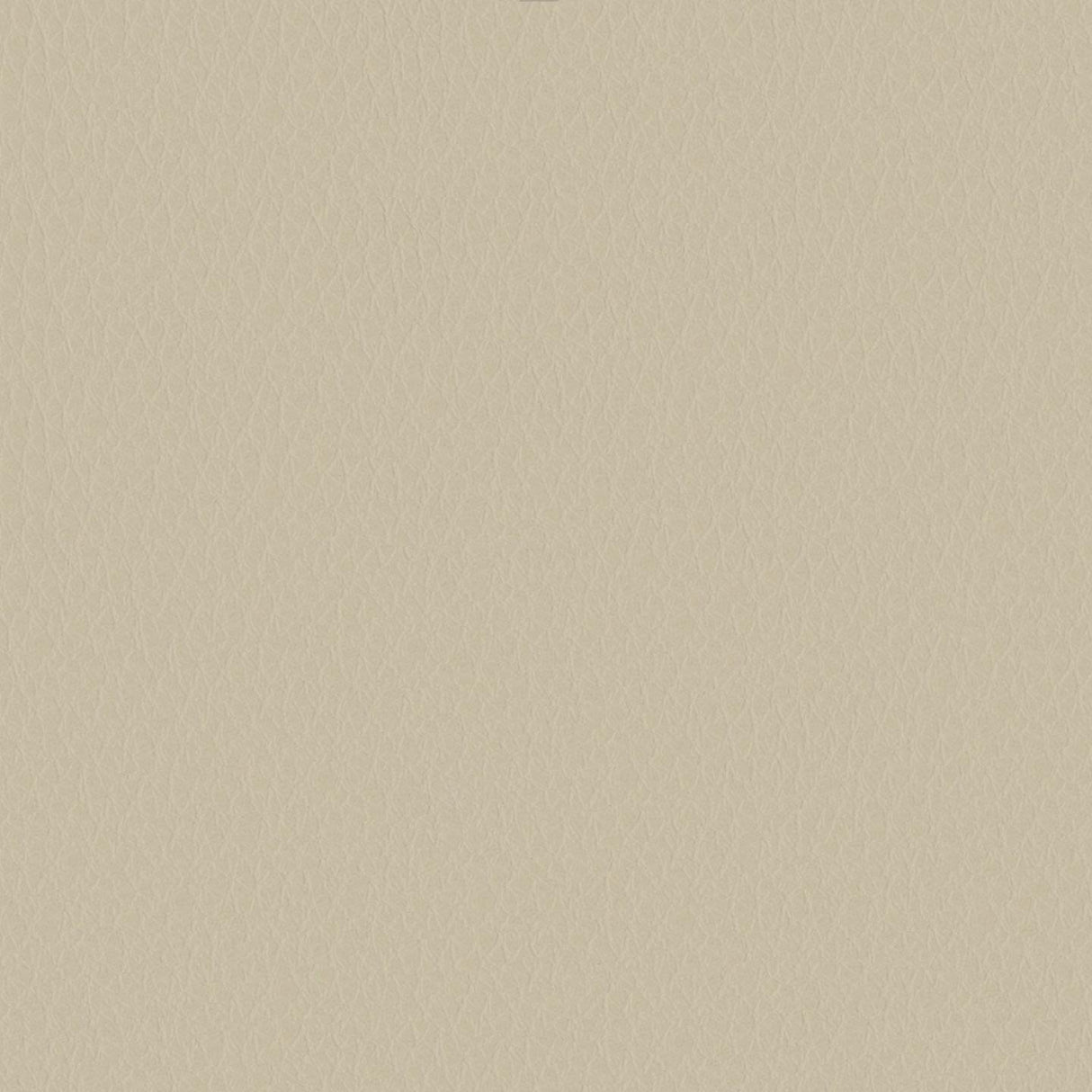 Emotion 212034