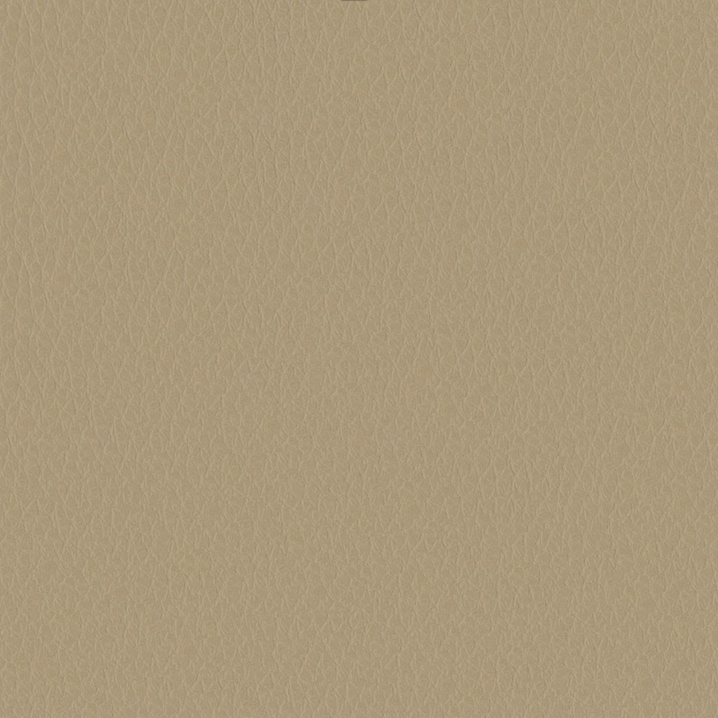 Emotion 213054